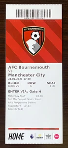 Erling Haaland Rekordticket die meisten Tore in einer EPL-Saison von einem Man City Player MT - Bild 1 von 9