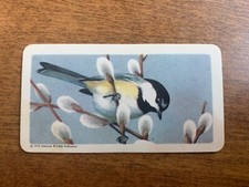 BROOKE BOND RED ROSE TEA CARDS - SERIES 1 - SONGBIRDS OF NORTH AMERICA