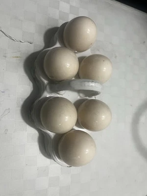 Ancien présentoir à œufs en fonte vintage cuisine déco rustique collection - Photo 1/3