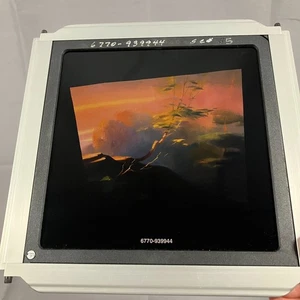 VTG Disney Forest Scene Slide - Pani Frame Park Prop Pocahontas Style Background - Picture 1 of 12