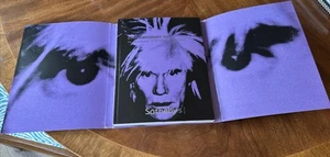 SOTHEBY'S CONTEMPORARY ART Auction Catalogs NY, May, 2010 Warhol, Mitchell, Poll - Picture 1 of 18