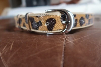 Unisex leopard print genuine stingray and leather belt silver buckle 39" length - Image 1 of 4