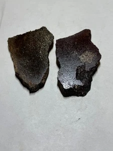 FÓSIL DE HUESO DE DINOSAURIO DOS LOSAS PULIDAS - Imagen 1 de 3