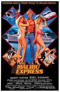 Malibu Express (1985)_0 Poster Canvas Movie Film Print A0 A1 A2 A3 A4 A5 A6 Art - Picture 1 of 11
