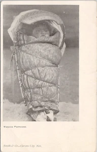 Photo PC Washoe Indian Papoose on Cradleboard Carson City Nevada c. 1905 - Picture 1 of 2