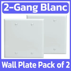 2 Pack White Blank Wall Plate 2-Gang Face Plate No Device Outlet Clear Faceplate - Afbeelding 1 van 4