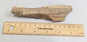 96 Gram Paleolithic 300,000 Year Old Stone Age Artifact from Africa (#F5491) - Picture 1 of 1
