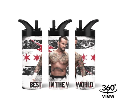 Бутылка для воды CM Punk WWE — 20 унций, подарок для фаната рестлинга, подарок WWE - Изображение 1 из 4