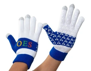 OES Knit Texting Gloves Eastern Star Blue and White Gloves - Picture 1 of 1