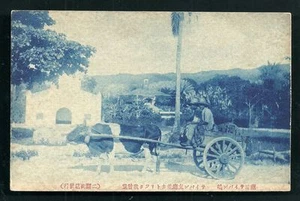 Saipan Mariana Islands Cow Cart Catholic Church ca 1910 - Picture 1 of 1