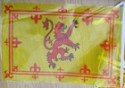 100 packs Scotland Rampant Lion 10m Flag bunting Scottish Job lot bargain