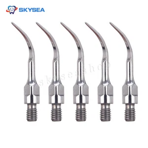 5 pz Scaler ad ultrasuoni dentale punta periodo PS1 punta di inserimento per Sirona 4 L Scaler - Foto 1 di 3