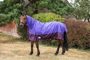 Alfombra para caballos de invierno al aire libre 100 g combo cuello completo púrpura/ciruela 5'6-6'9 - Imagen 1 de 12