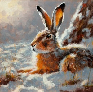 HARE PORTRAIT ORIGINAL WILDLIFE FINE ART PAINTING 30 x 30 cm by JOHN SILVER BA - Picture 1 of 5