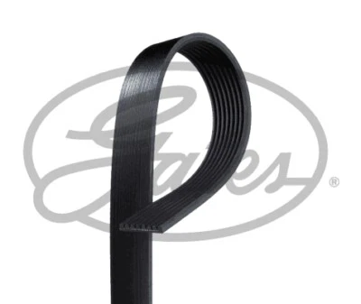GATES 8PK2410 V-Ribbed Belt for LEXUS,TOYOTA - Image 1 of 4