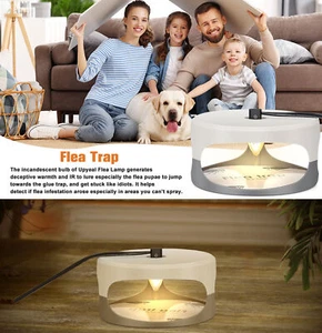 Elektronische Flohfalle Mörder Lampe mit 2x Kleber Discs 2x Glühlampe EU-Stecke - Bild 1 von 14