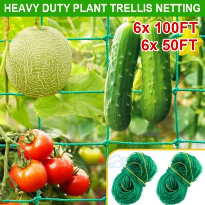 Garden Plant Climbing Net Trellis Netting Mesh Support Fruits Vine Veggie Bean - Image 1 of 4