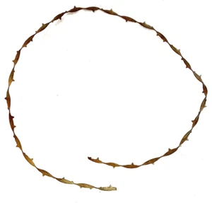ANTIQUE 1881 ALLIS BARBED RIBBON WIRE FENCING,RUSTY,TEXAS,BUCKHORN?GIFT,CRAFTS:) - Picture 1 of 4