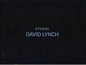 The Straight Story (VHS, 2000) David Lynch - Picture 1 of 15