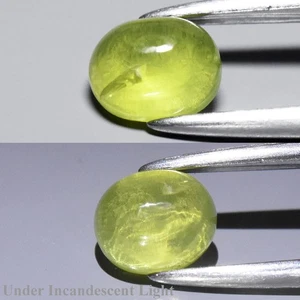 💎 0.70ct Oval Cabochon Natural Green Cat's Eye Chrysoberyl - Tanzania Gemstone - Picture 1 of 6