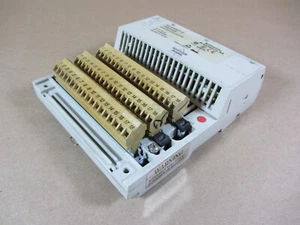 Módulo I2T 1003-01 TSX Momentum/Integrated Industrial Technologies, Inc - Imagen 1 de 7