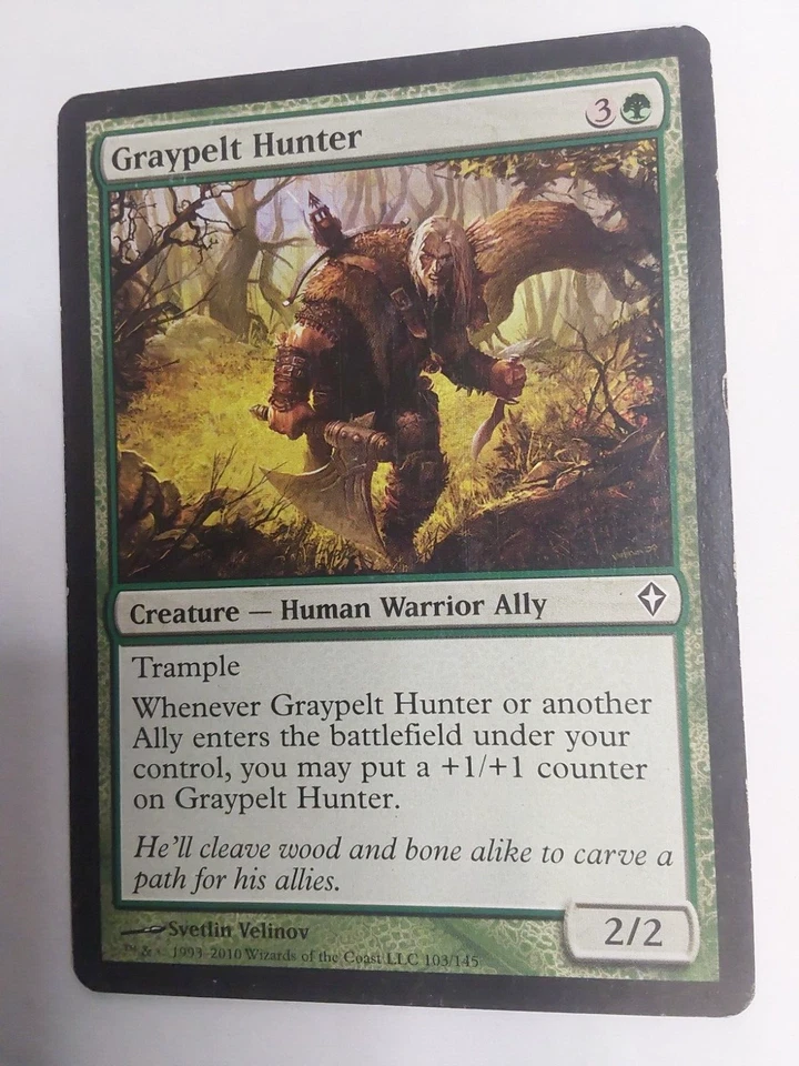 MTG Magic The Gathering Card Graypelt Hunter Green Creature Human Warrior Ally - Image 1 of 1