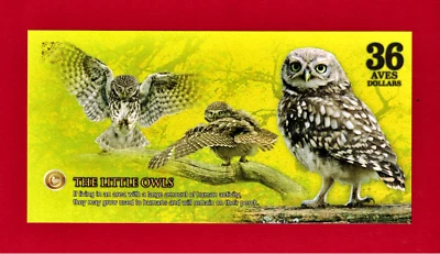36 AVES DOLLARS 2017 ATLANTIC FOREST - "THE LITTLE OWL" - RARE SPECIMEN UNC NOTE - Image 1 of 2