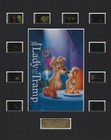 Lady And The Tramp 1955 Authentic 35mm Movie Film Cell 8x10 Matted Display w/COA