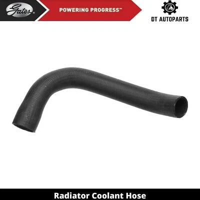 Manguera de refrigerante de radiador de gas V6 4,3 L para Chevrolet S10 Blazer 1988-1994 puertas inferiores Foto 1 de 4