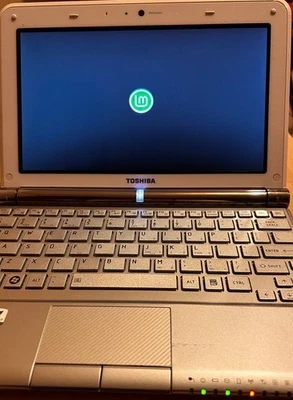 Нетбук Toshiba NB305 10,1 дюйма, процессор Intel(R) Atom(TM) N450 @1,66 ГГц, 1G RAM, Linux - Изображение 1 из 4