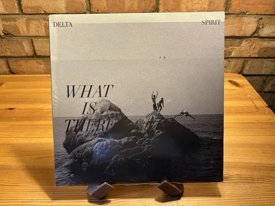 Delta Spirit - What Is There 12" Vinyl Record LP New And Sealed 2020 - Image 1 of 2