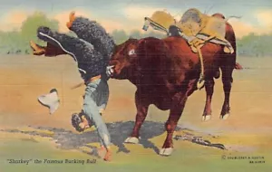 Postkarte: Cowboy mit Sharkey, der berühmte Bucking Bull, Vintage Leinen - Bild 1 von 2