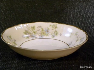 EXQUISITE 5 1/8" FRUIT / DESSERT SAUCE BOWL ~ SYRACUSE China MAYVIEW Pattern - Picture 1 of 7