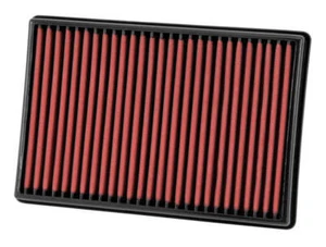 AEM 02-07 Dodge Ram 3.7L (V6)/4.7L-5.9L (V8) Dryflow Panel Air Filter - Bild 1 von 17
