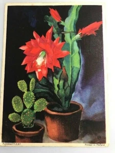 Bellissima cartolina d'epoca con fiori 1941 Olanda - Foto 1 di 4