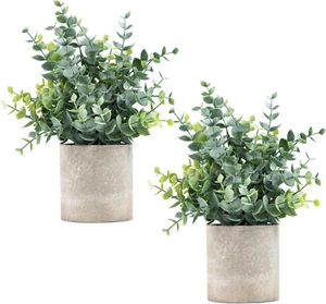 2 Pack Small Fake Plants Eucalyptus Potted Artificial Plants for Shelf Desk Home - Picture 1 of 12