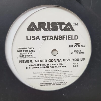 Lisa Stansfield Never Gonna Give You Up x1 12" Vinyl Record Single - Image 1 of 4