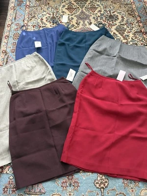 6 件复古 Le Suit Essentials 裙子女式 6P 码全新带标签套装 — 第 1/4 张图片