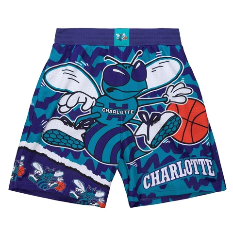 Mitchell & Ness Purple/Teal Charlotte Hornets Jumbotron 2.0 Sublimated Shorts Cover