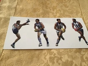 AFL NORTH MELBOURNE KANGAROOS FOOTBALL OFFICIAL 4 PLAYERS STICKER SET PREMIERS - Picture 1 of 2