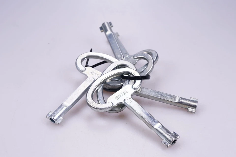 1 pieza RITTAL SZ2531.000 Llave de caja Doble Paletón n.º 5 Foto 1 de 1