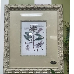 Botanical print double mat with aged Ivory frame - Picture 1 of 1