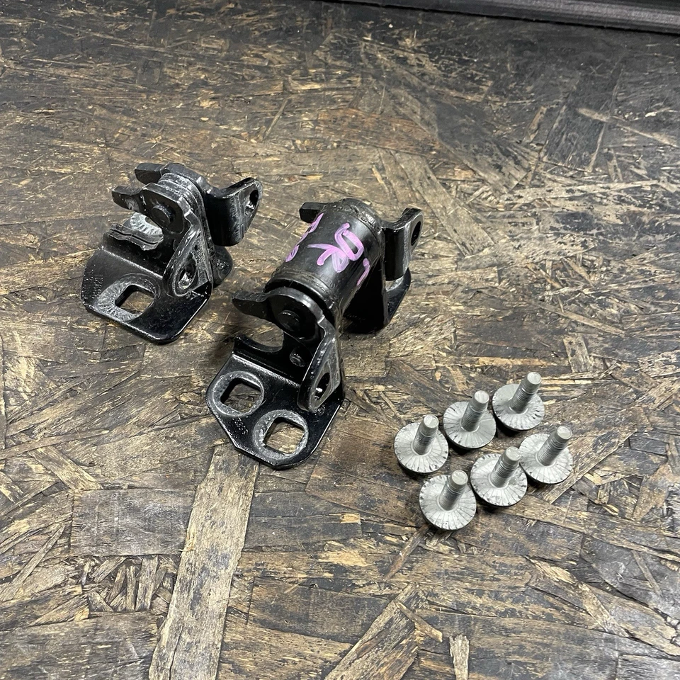 ✅ Juego de bisagra de puerta del conductor delantero izquierdo Tesla Model S 2012-2020 OEM superior inferior negro Foto 1 de 4