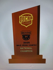 NJCAA DIVISION-2 COLLEGE TROPHY, ANY TEAM & YEAR, LARGE - Bild 1 von 5