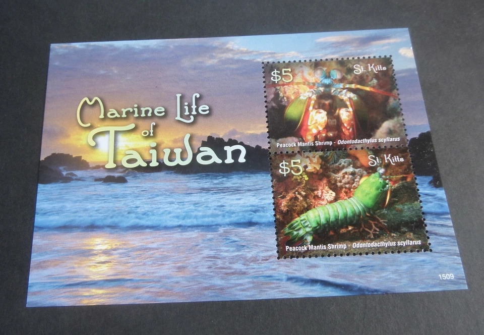 St Kitts 2015 Marine Life of Taiwan MS shrimp MNH UM unmounted mint - Image 1 of 1