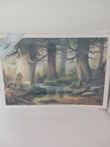 Lee Roberson Artist of The Smokies - NEW BEGINNING - Limited Edition - Picture 1 of 4