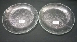 Lot 2 Vintage Arcoroc CANTERBURY flowers Crocus Clear Glass salad plates 7.5" - Picture 1 of 4