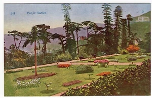 Hong Kong China old Picture Postcard Public Garden Hongkong unused - Picture 1 of 2