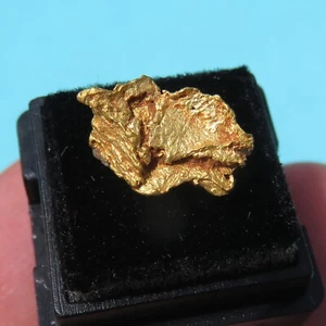 Minéraux Rare Pépite en Or Cristallisée Naturel Occidental - Bild 1 von 2