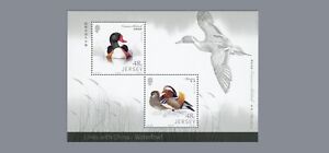Jersey 2016 Waterfowl  ducks   blok   POSTFRIS/MNH